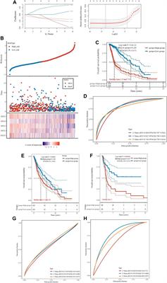 Comprehensive analysis of the prognosis and immune infiltrates for the BET protein family reveals the significance of BRD4 in glioblastoma multiforme